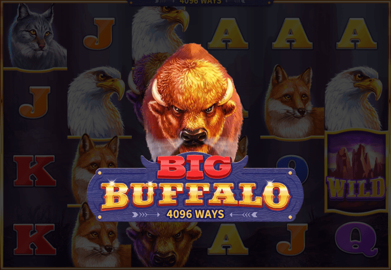 Big Buffalo