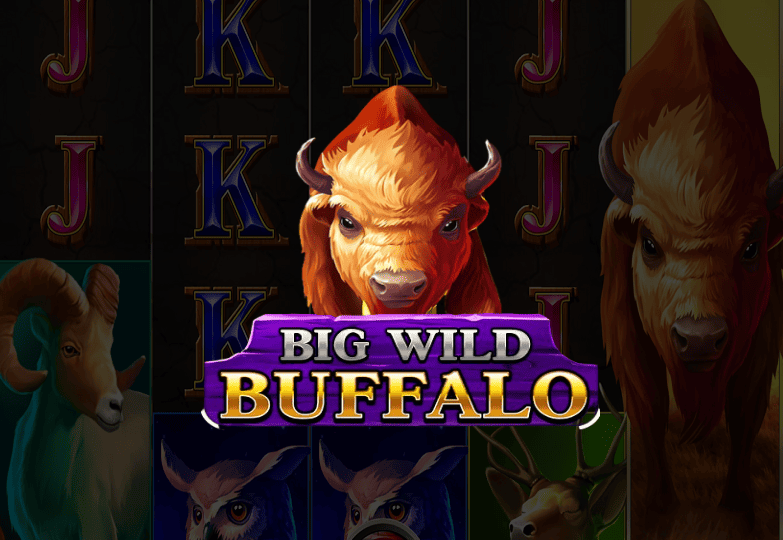 Big Wild Buffalo