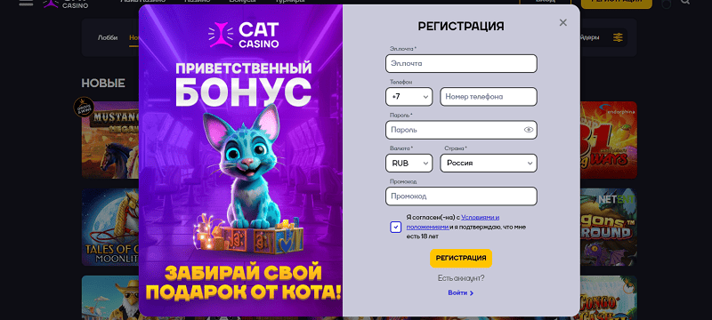 Регистрация казино Cat Casino