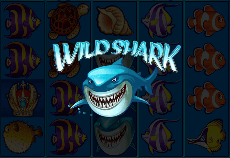 Wild Shark